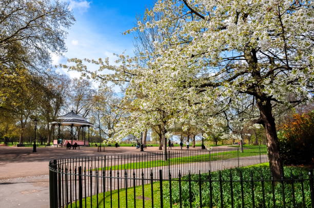 The Best Locations for Bridal and Groom Photoshoots in London